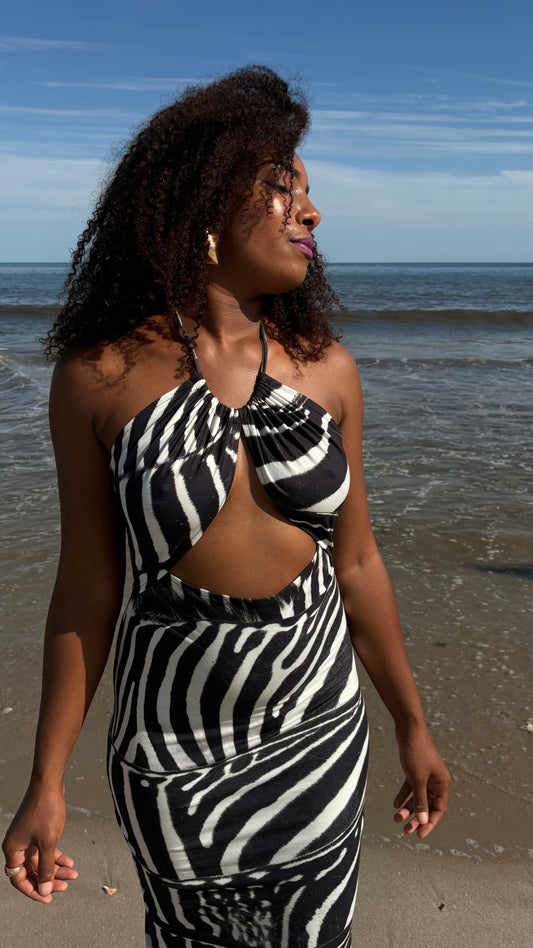 Zinae Dream Halter Maxi Dress