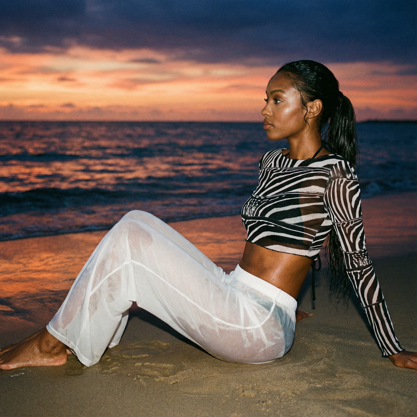 Zinae Sheer Crop Top